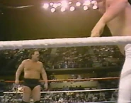 1.16.88 WWF Superstars.00012.jpg (72 KB)