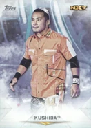 2020 Topps WWE Undisputed Wrestling Cards Kushida (No.64)