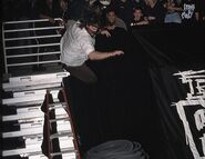 Royal Rumble 1999.6.jpg (27 KB)