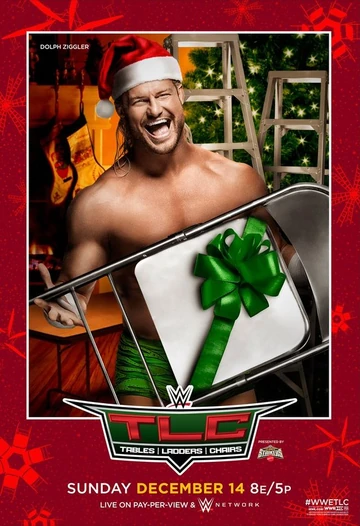 その他 WWE TLC 2014 [DVD] WWE: TLC - Tables, Ladders and Chairs 2013 (DVD, 2014) for