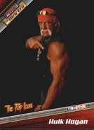 2010 TNA New Era (Tristar) Hulk Hogan (No.4)