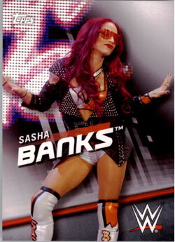 Sasha Banks/Merchandise, Pro Wrestling