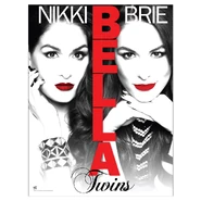 Bella Twins Poster