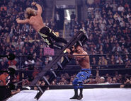 Royal Rumble 2001.17