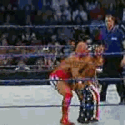 Category Professional wrestling moves Pro Wrestling Fandom