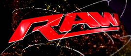 2013 RAW Logo