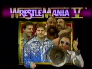 The Fabulous Rougeaus v The Bushwhackers