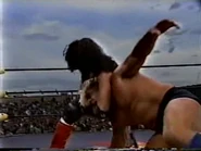 Road Wild 1997.00028.jpg (15 KB)