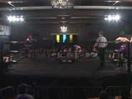 Shimmer 40.00040.jpg (35 KB)