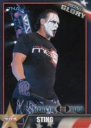 2013 TNA Impact Glory Wrestling Cards (Tristar) Sting (No.60)