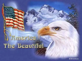 America the Beautiful logo