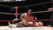 CMLL Informa (December 31, 2014) 17