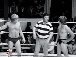 Amazon.co.jp: WWE ハート・ファミリー・アンソロジー ハート