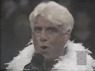 September 18, 1995 Monday Nitro.00011.jpg (17 KB)