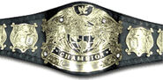 WWF Undisputed Championship (2002)