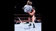 WrestleMania 15.8.jpg (19 KB)