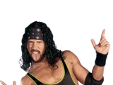 Sean Waltman