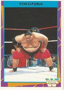1995 WWF Wrestling Trading Cards (Merlin) Yokozuna 65