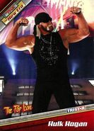 2010 TNA New Era (Tristar) Hulk Hogan (No.2)