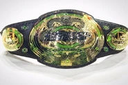 GFW Global Heavyweight Championship Belt Ver1.0.jpg (118 KB) (2015-August 17, 2017)