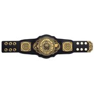 WWE Intercontinental Championship Mini Replica Title