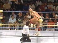 WrestleWar 1991.00013.jpg (24 KB)