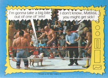 1987 WWF Wrestling Cards (Topps) Matilda & Davey Boy Smith 74