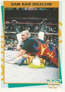 1995 WWF Wrestling Trading Cards (Merlin) Bam Bam Bigelow 69
