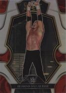 2023 WWE (Panini Select) Diamond Dallas Page (No.198)