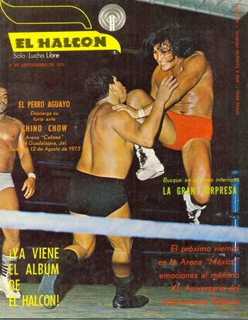 El Halcon 62