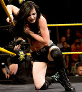 NXT 12-18-13 5