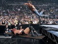 SummerSlam 2002.3