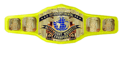 wwe intercontinental championship white