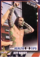 2013 TNA Impact Glory Wrestling Cards (Tristar) Jeff Hardy (No.29)
