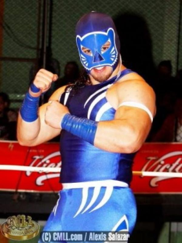 blue panther luchador
