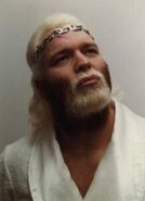 Jimmy Valiant 12