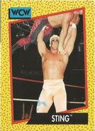 1991 WCW (Impel) Sting (No.9)