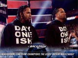 2018 WWE Road to WrestleMania Trading Cards (Topps) The Usos (No.88)