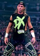 Shawn-Michaels-wwe-7736409-282-390