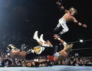 Royal Rumble 2003.3.jpg (27 KB)