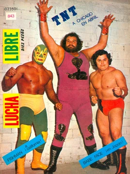 Lucha Libre 843