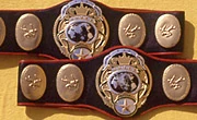 PWF World Tag Team Championship