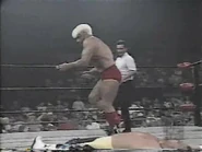 September 18, 1995 Monday Nitro.00029.jpg (22 KB)