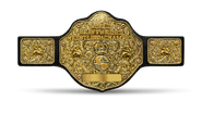 Another image of NWA World Heavyweight Championship (1986-1994)