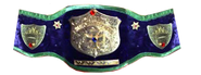 World Wide Wrestling Federation. Title used by Pedro Morales (1971-1972)