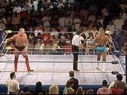 Wrestlewar 1991 16.jpg (101 KB)