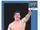2008 WWE Heritage IV Trading Cards (Topps) Evan Bourne (No.16)