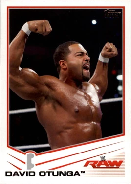 2013 WWE (Topps) David Otunga 10