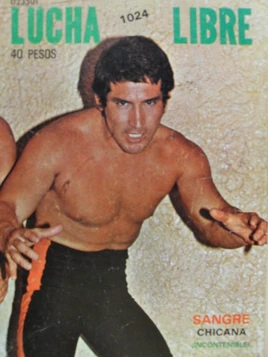 Lucha Libre 1024