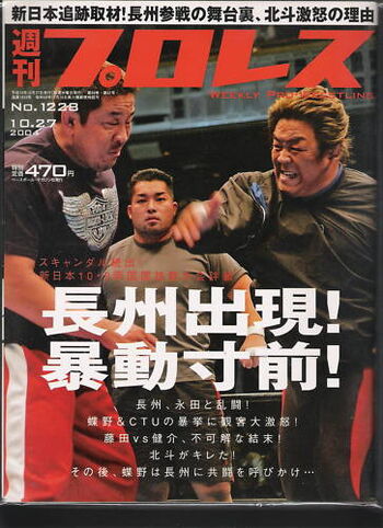 Weekly Pro Wrestling No. 1228